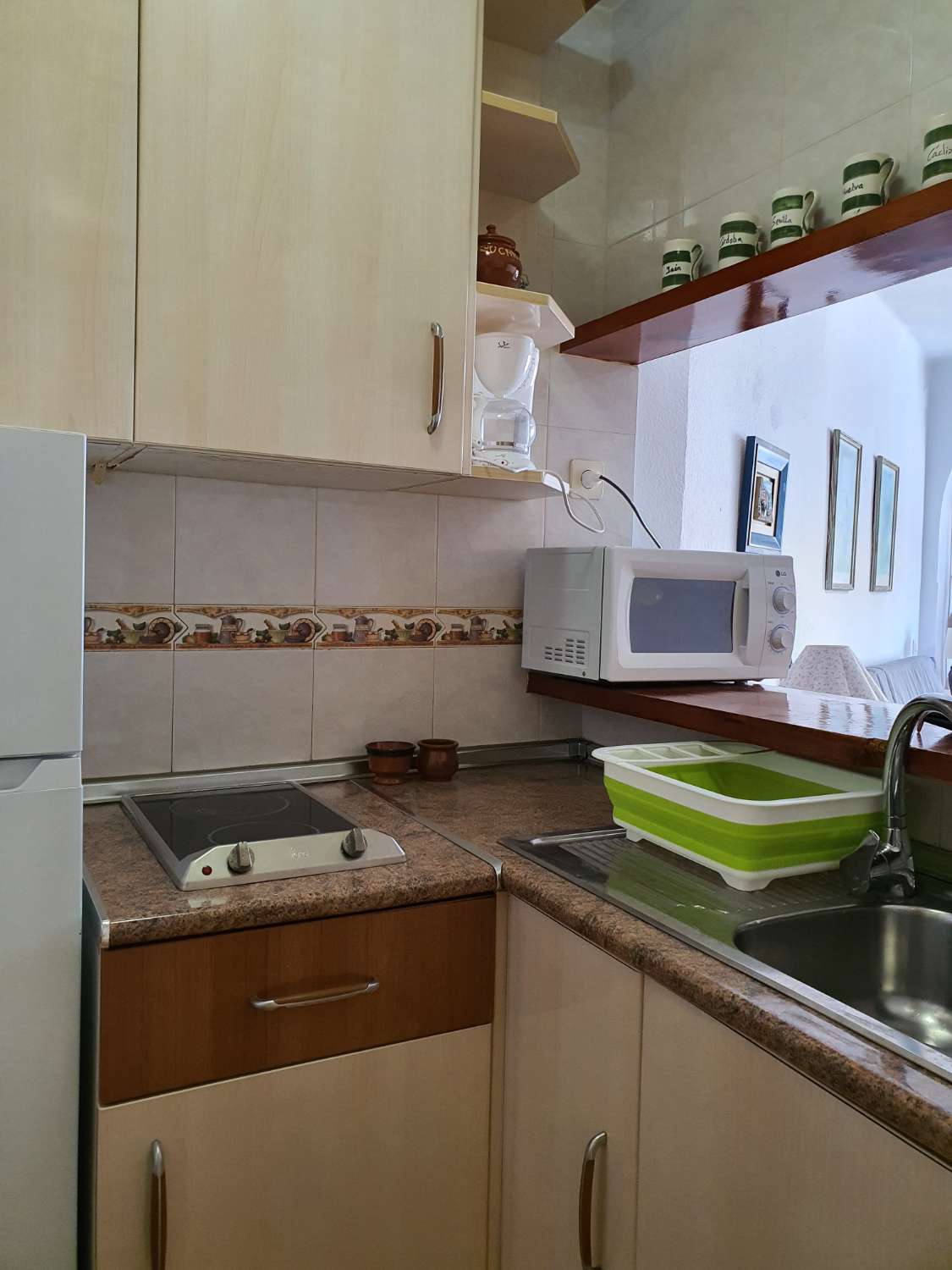 Studio en location à Centro Internacional (Torrox)